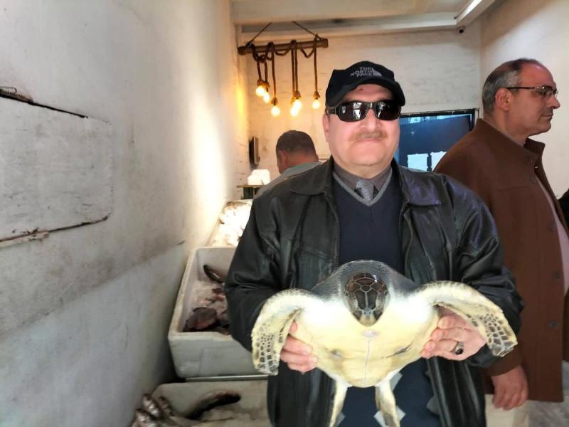 絶滅危惧種のアオウミガメが魚店内で発見・保護される