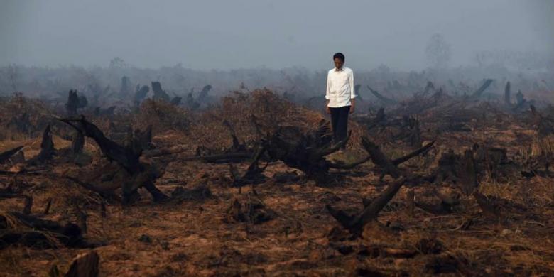2015年9月23日、南カリマンタンのバンジャルバルにある森の火災の様子を視察し、焼け焦げ崩壊した泥炭地域の中心に立つジョコ・ウィドド大統領。
